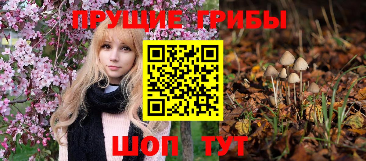 Галлюциногенные грибы MAGIC MUSHROOMS  Псилоцибиновые грибы Psilocybine cubensis  Вход с VPN  Елабуга 